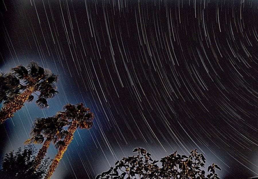 Star trails over Las Vegas, photo by Taihung "Peter" Duong. He will spend more time on his photography when he retires from IU School of Medicine—Terre Haute at the end of 2025. Night sky with circular star trails and palm trees in foreground