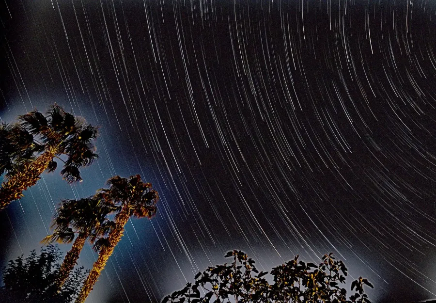 Star trails over Las Vegas, photo by Taihung "Peter" Duong. He will spend more time on his photography when he retires from IU School of Medicine—Terre Haute at the end of 2025. Night sky with circular star trails and palm trees in foreground