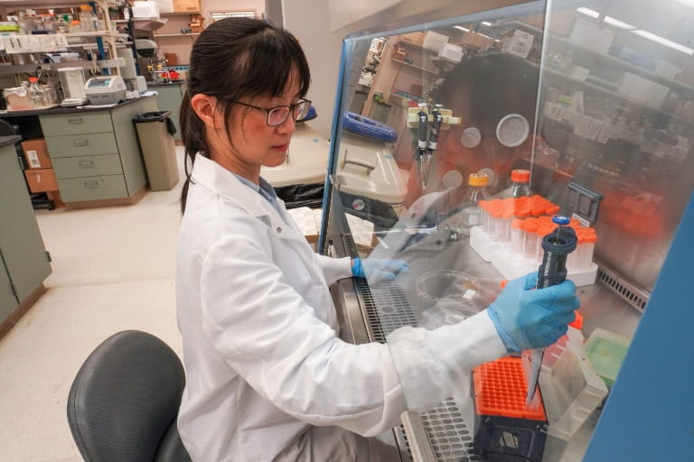 Tzu-Chieh (Kate) Ho, PhD, working in the lab