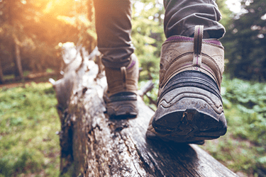 A hiker's boots stepping on a log in a forest.