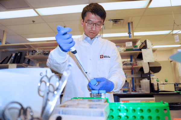 Ji Zhang pipetting in the lab.