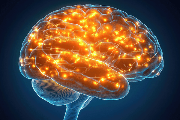 An image of a human brain with electrical pulses throughout it.