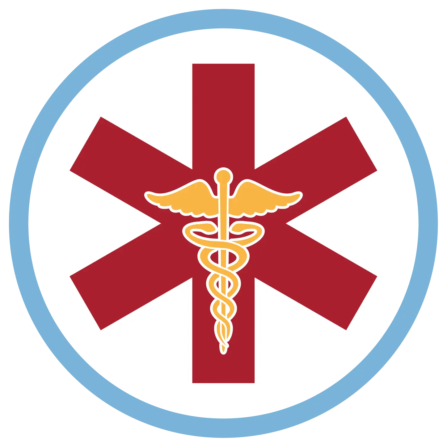 EMS icon