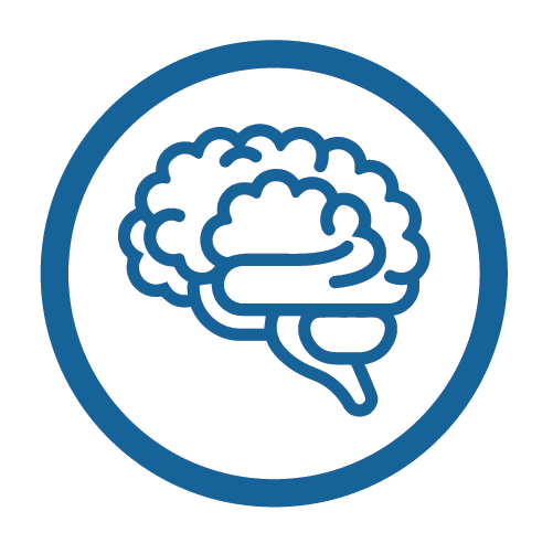 brain icon