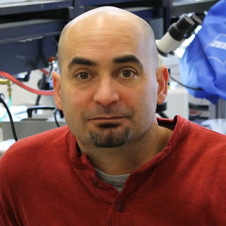 portrait of Andrew Zelhof, PhD