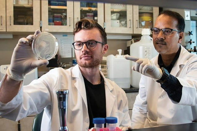 A student holds up a sample plate in a research lab. A faculty member next to him points out an interesting detail in the sample