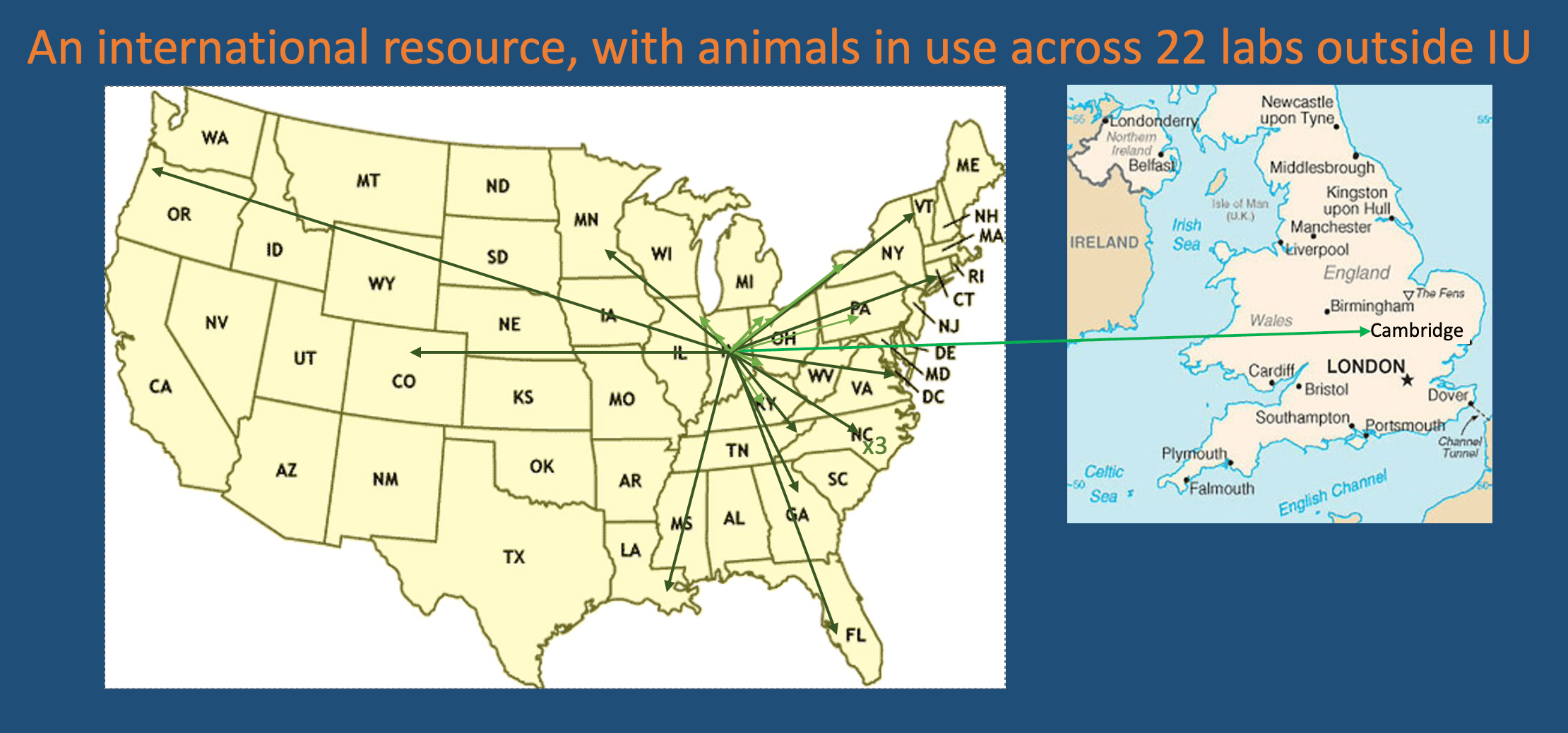 map showing where animal models have been used in the US and UK