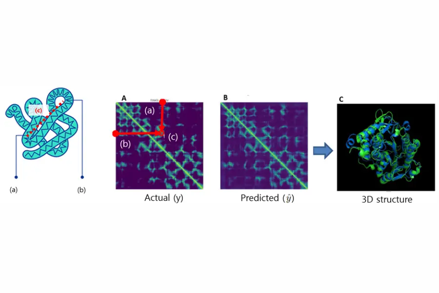 The principal AlphaFold used to convert distances into a 2D image