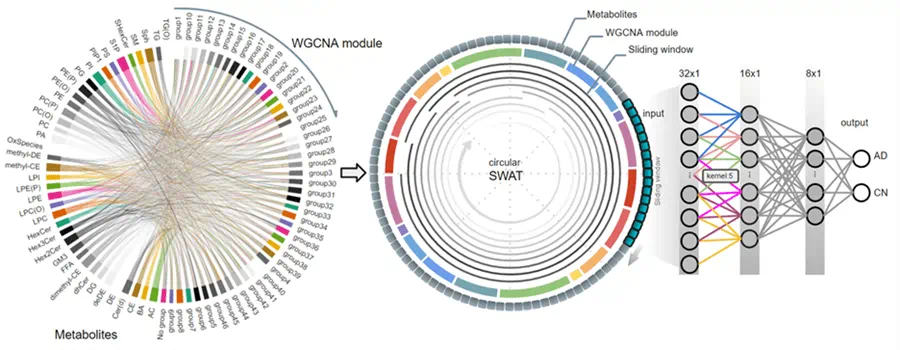 (PMID: 37806288, DOI: 10.1016/j.ebiom.2023.104820) (Taeho Jo, et al. (2022), https://doi.org/10.1016/j.ebiom.2023.104820)