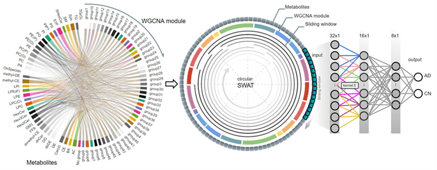 (PMID: 37806288, DOI: 10.1016/j.ebiom.2023.104820) (Taeho Jo, et al. (2022), https://doi.org/10.1016/j.ebiom.2023.104820)