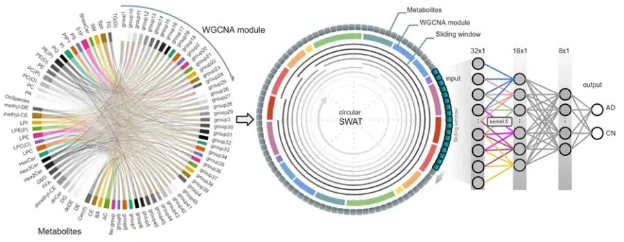 (PMID: 37806288, DOI: 10.1016/j.ebiom.2023.104820) (Taeho Jo, et al. (2022), https://doi.org/10.1016/j.ebiom.2023.104820)