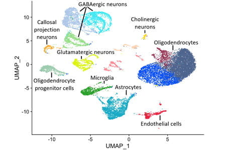 bioinformatics graph