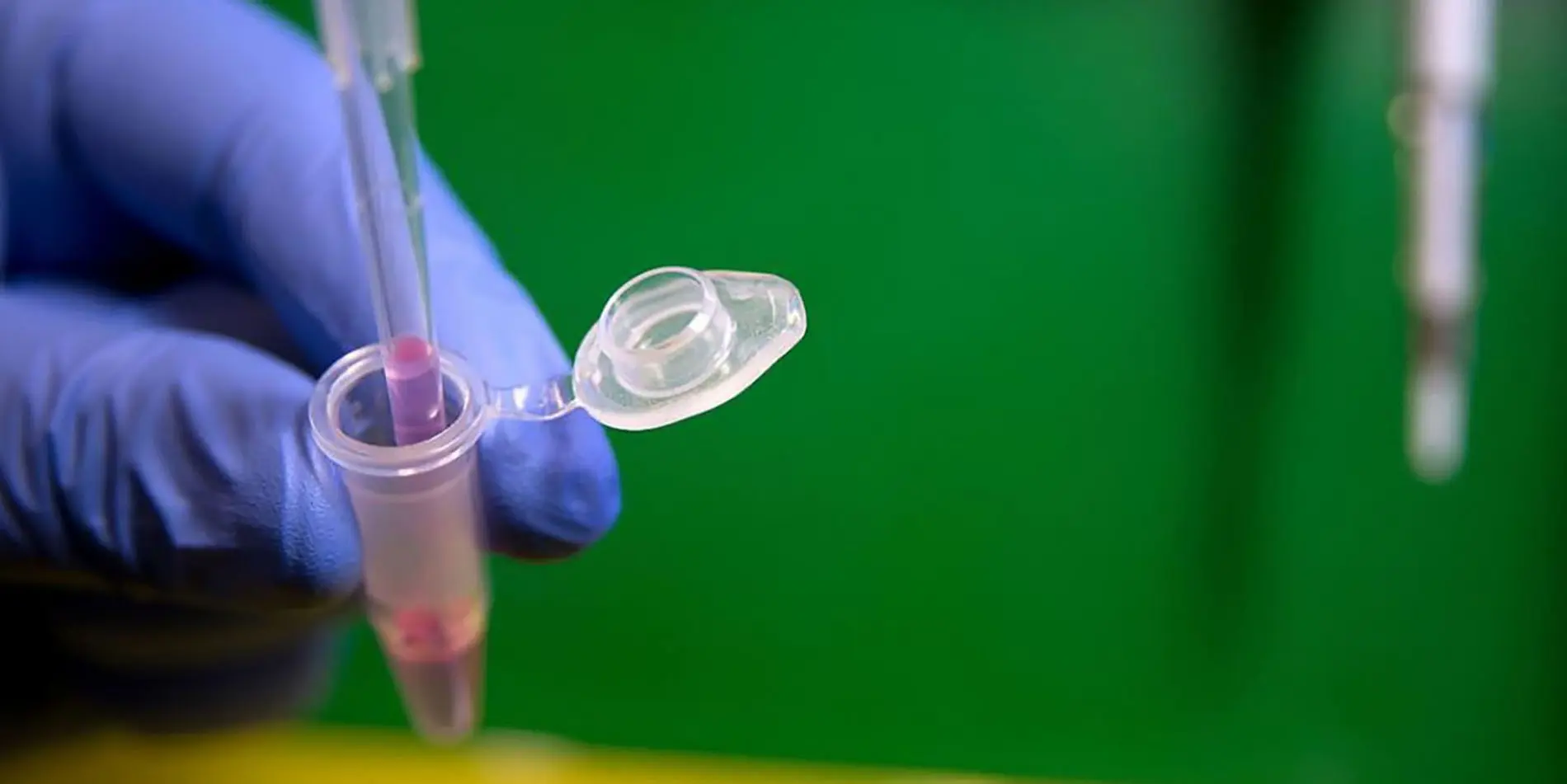 A close up shot of gloved hands using a pipette to prepare a sample