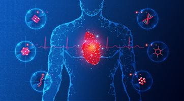 graphic with an outline of a human body with the heart emphasized