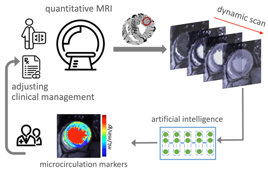 This illustration shows the imaging-guided clinical management process for patients with coronary microcirculation dysfunction. The process begins with a quantitative MRI and then proceeds to the dynamic scan. Then, using artificial intelligence, microcirculation markers are identified and adjustments are made to clinical care based on the results.