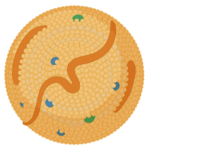 Animated Lipid Disorders icon that illustrates cholesterol.