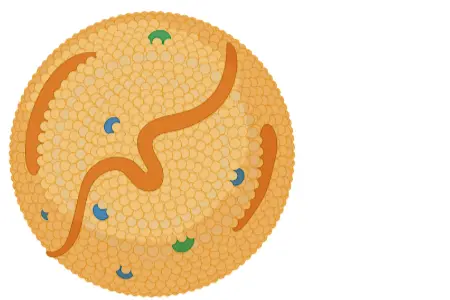 Animated Lipid Disorders icon that illustrates cholesterol. 