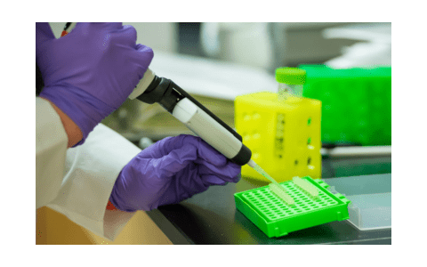 closeup of researcher pipetting in a lab