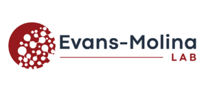 Evans-Molina Lab logo