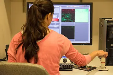 Woman using a computer