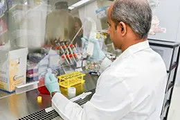 Lab member working at a laboratory hood