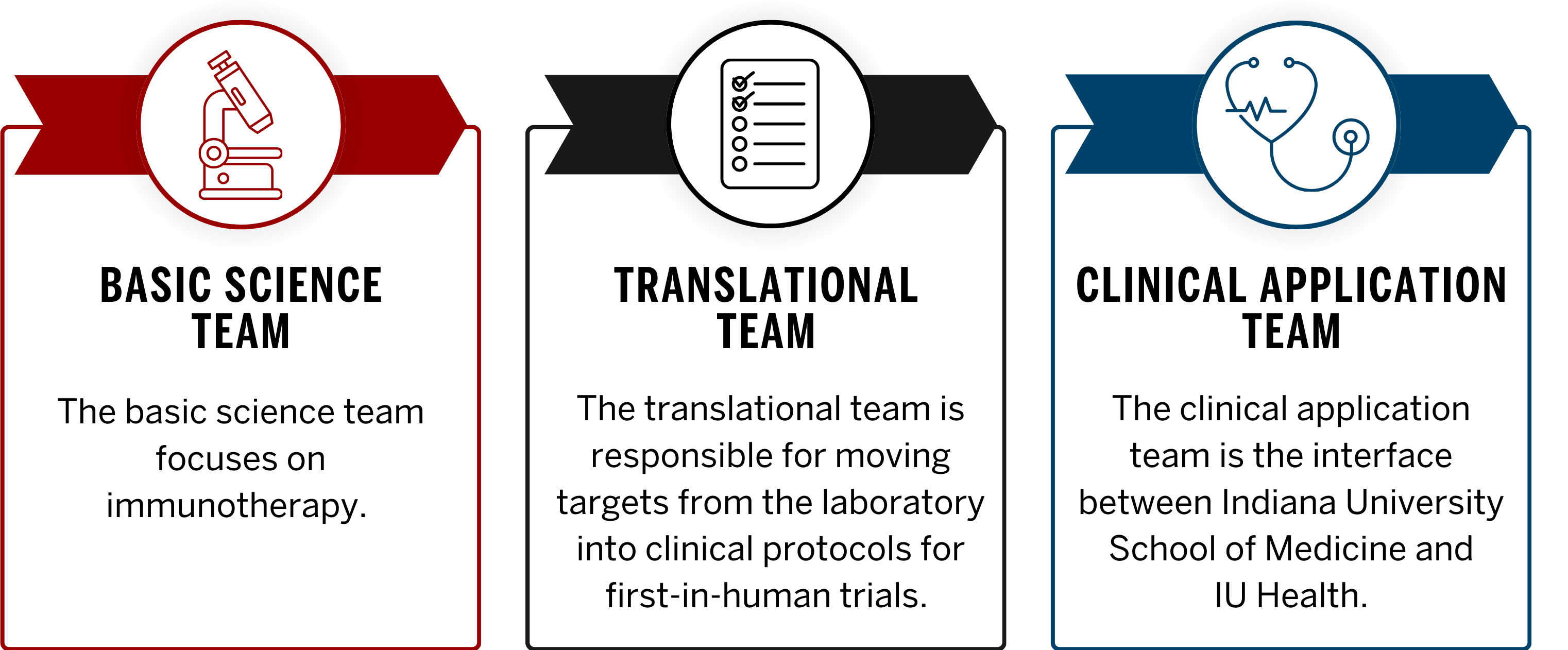 three steps of the research pipeline. In the first step, he basic science team focuses on immunotherapy. In the second step, the translational team is responsible for moving targets from the laboratory into clinical protocols for first-in-human trials. In the last step, the clinical application team is the interface between IU School of Medicine and IU Health.