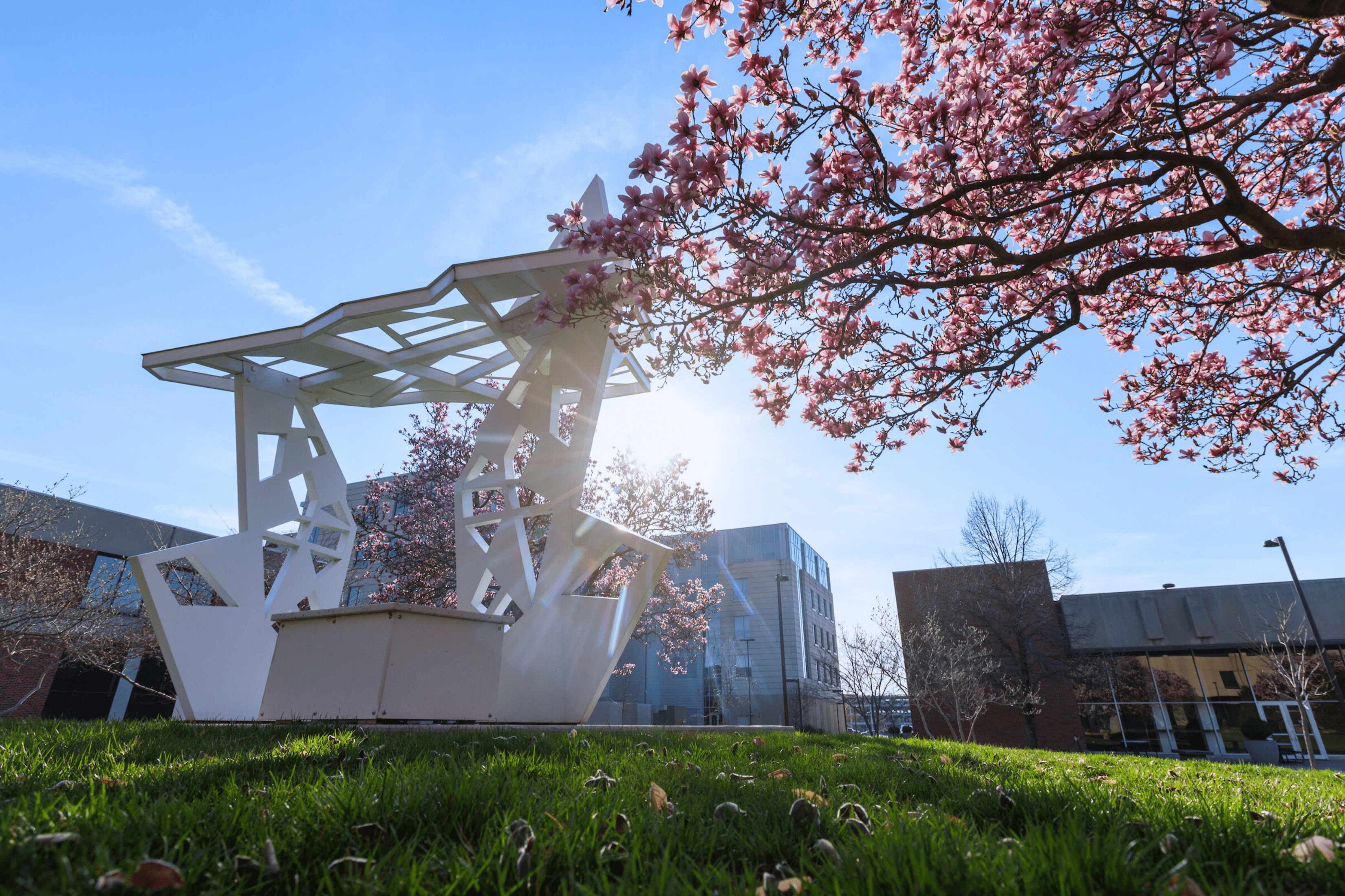 Photo of a sculpture and pink flowers on IU Indianapolis' campus.