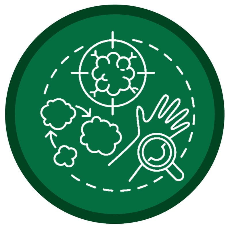 illusatration of a tumor on a green background