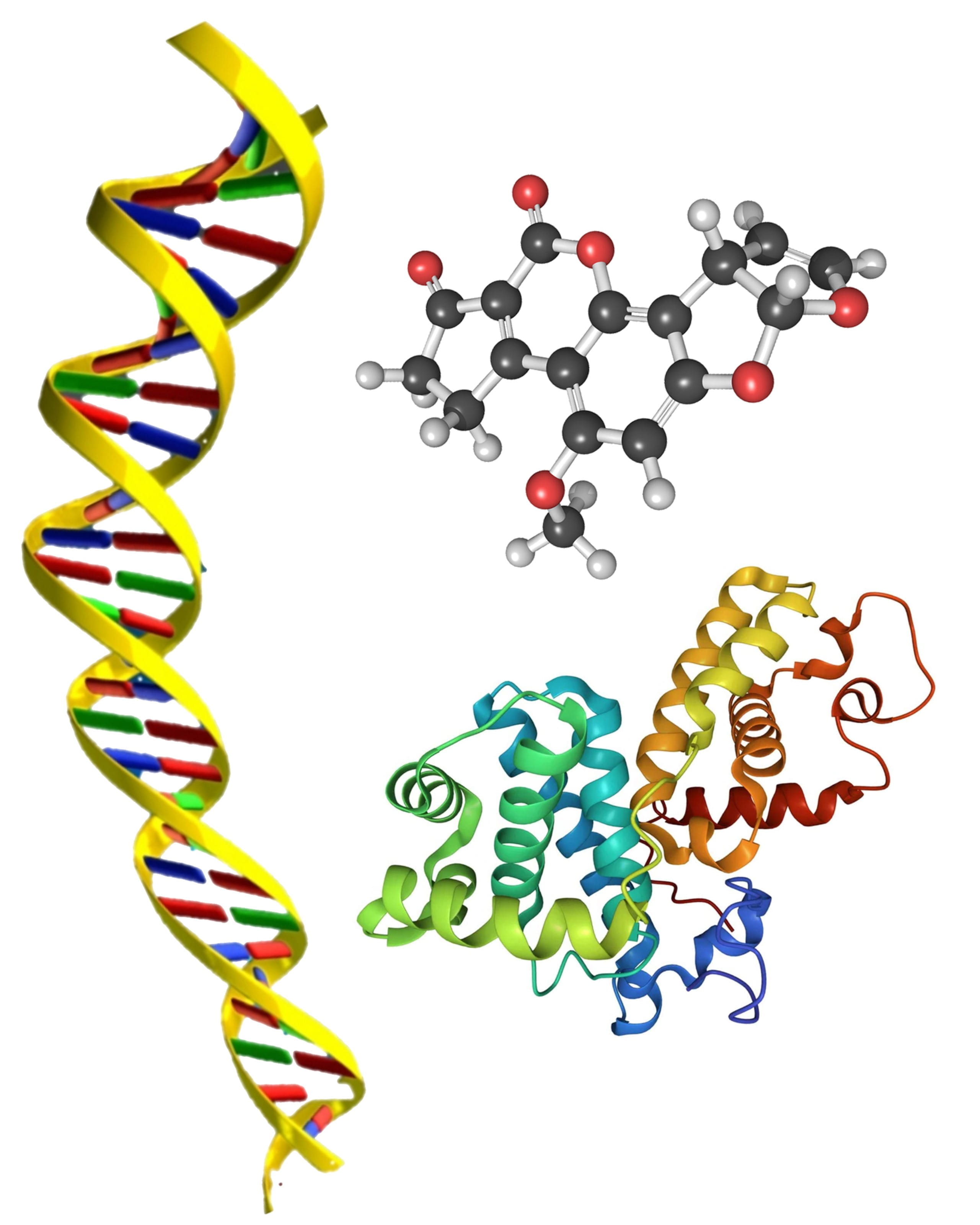illustration of dna strand and molecule structures