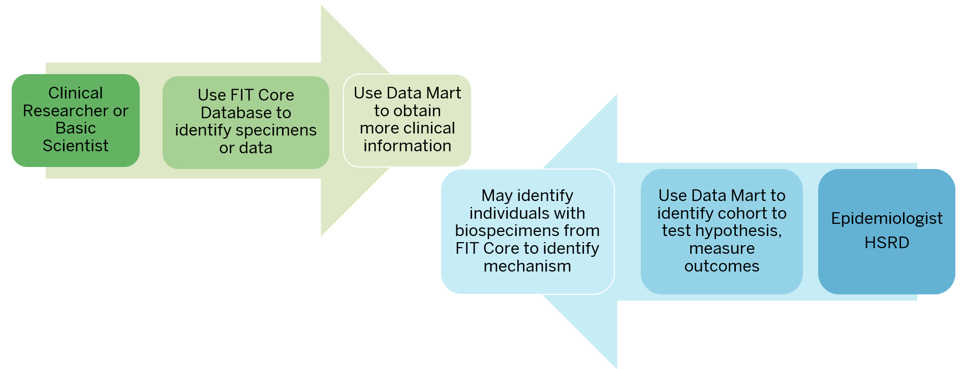 flow of work in the core. A green arrow moving to the center shows work starting with the clinical researcher or basic scientists. They use the FIT core database to identify specimens or data. Then they use the Data Mart to obtain more clinical information. A blue arrow moving from the right into the middle shows an epidemiologist using the Data Mart to identify a cohort to test hypothesis and measure outcomes. Then they may identify individuals with biospecimens from the FIT core to identify mechanism of musculoskeletal health.