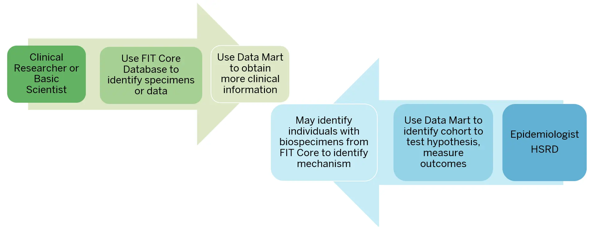 flow of work in the core. A green arrow moving to the center shows work starting with the clinical researcher or basic scientists. They use the FIT core database to identify specimens or data. Then they use the Data Mart to obtain more clinical information. A blue arrow moving from the right into the middle shows an epidemiologist using the Data Mart to identify a cohort to test hypothesis and measure outcomes. Then they may identify individuals with biospecimens from the FIT core to identify mechanism of musculoskeletal health.