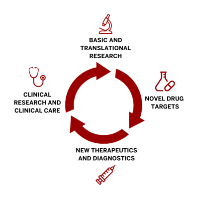 a graphic shows the cycle of medical research: basic and translational research leads to novel drug targets, which lead to new therapeutics and diagnostics, which lead to clinical research and improved clinical care, and the whole cycle begins again.