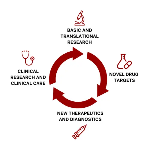 a graphic shows the cycle of medical research: basic and translational research leads to novel drug targets, which lead to new therapeutics and diagnostics, which lead to clinical research and improved clinical care, and the whole cycle begins again.