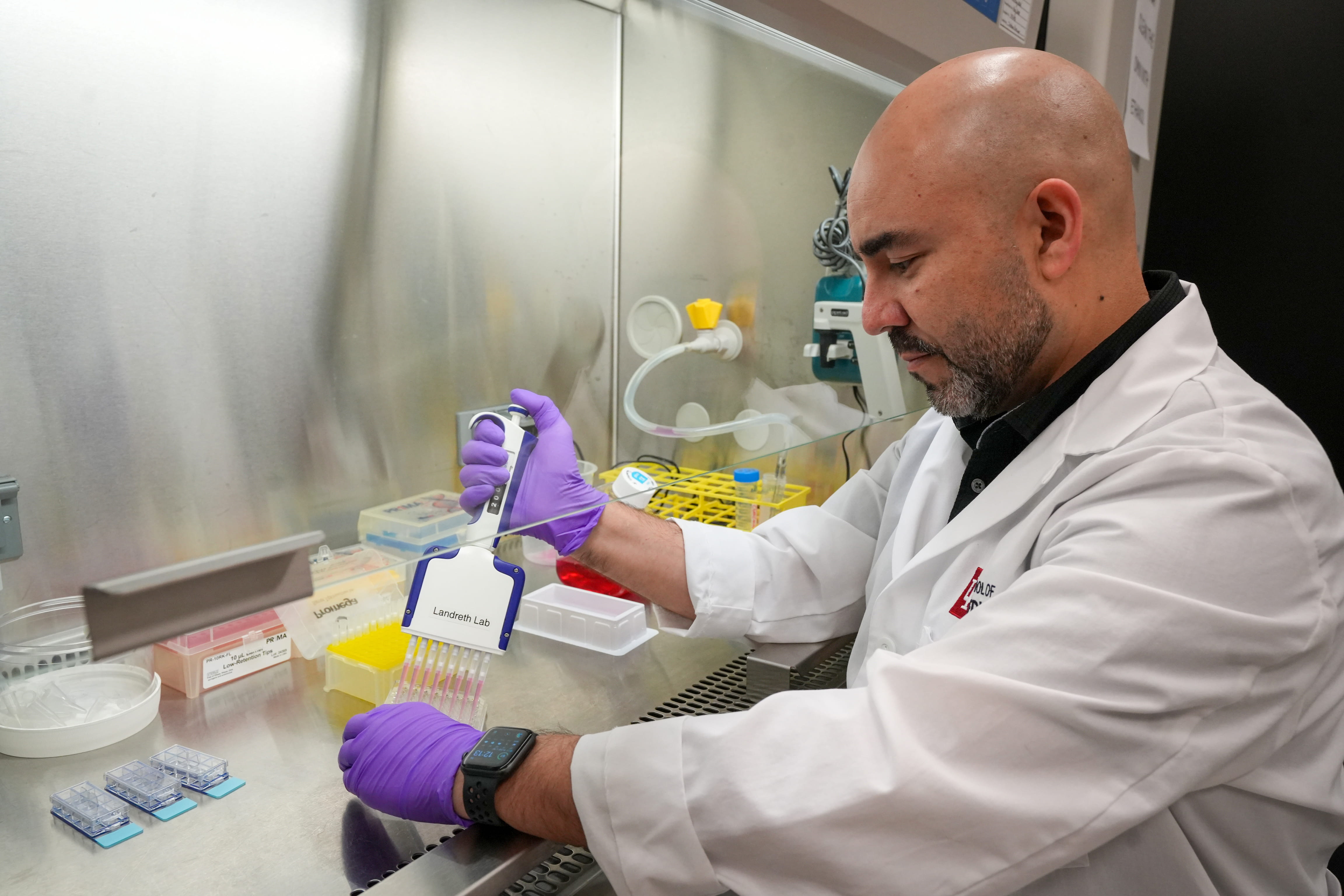 a researcher works in the lab