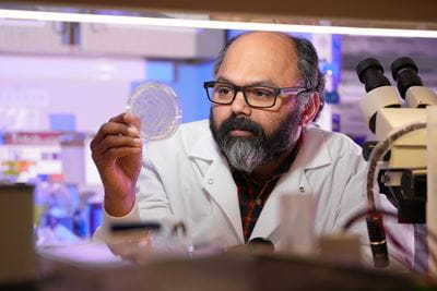 a researcher looks at a petri dish in a lab