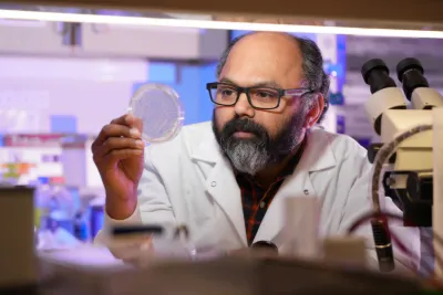 a researcher looks at a petri dish in a lab
