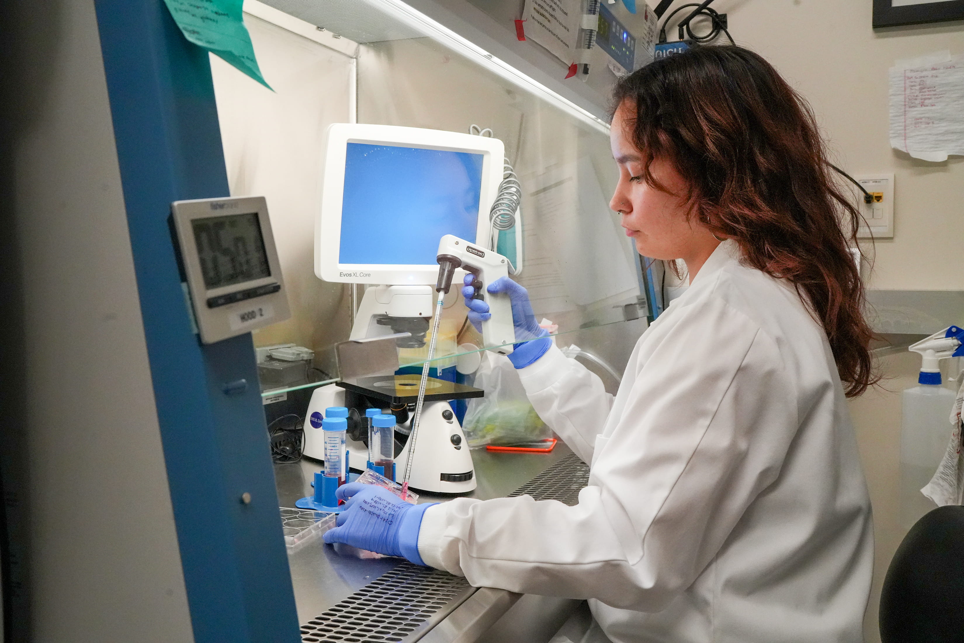 a researcher pipettes in the lab