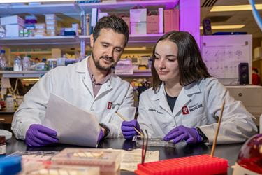 two researchers working in a lab
