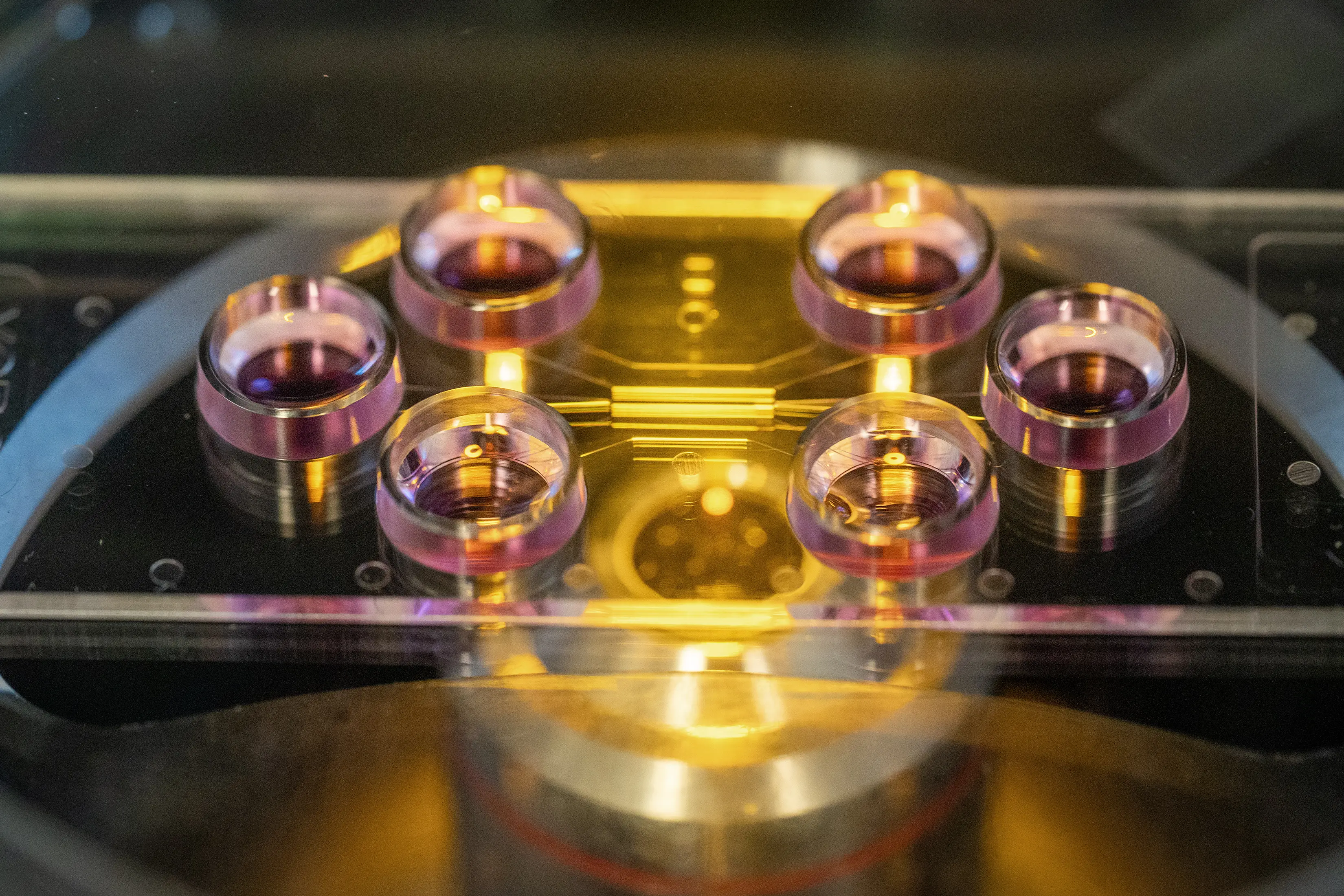a microfluidic chip used to study cells