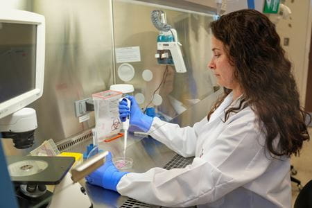 a researcher works under a hood in the lab