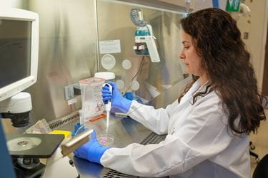 a researcher works under a hood in the lab