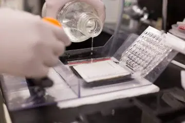 liquid is being poured out of a bottle into a dish