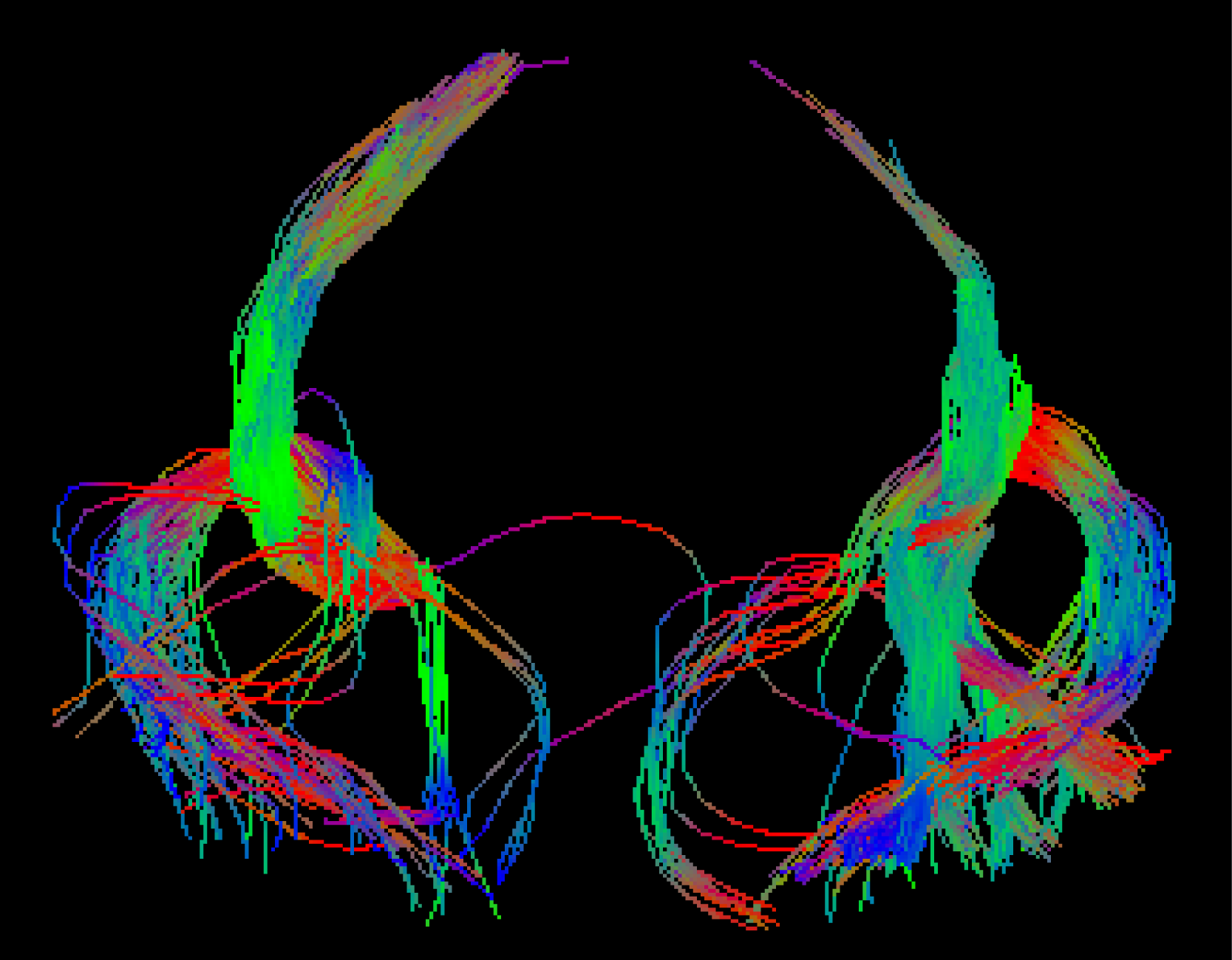 image contest winner for 2025 symposium