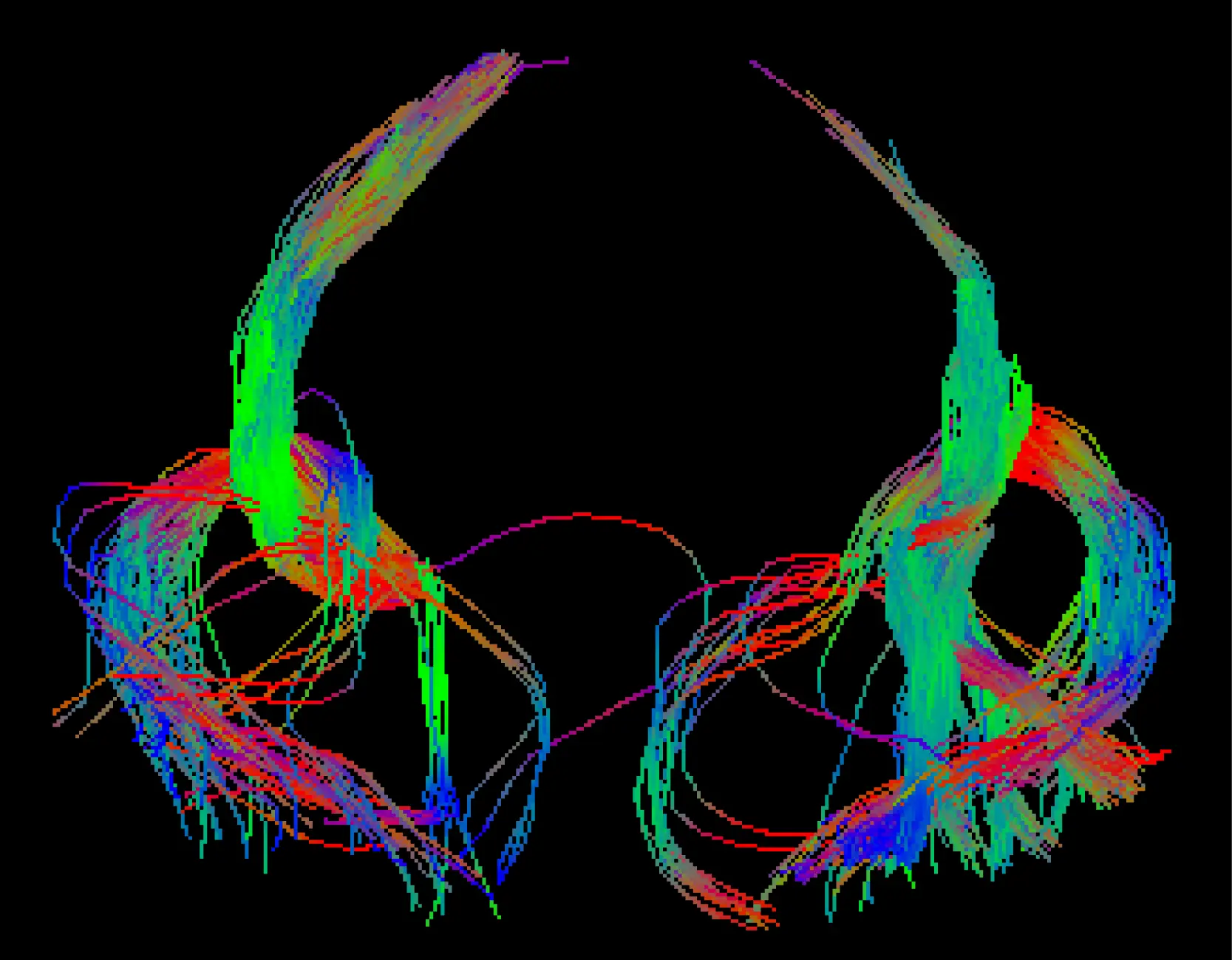 image contest winner for 2025 symposium