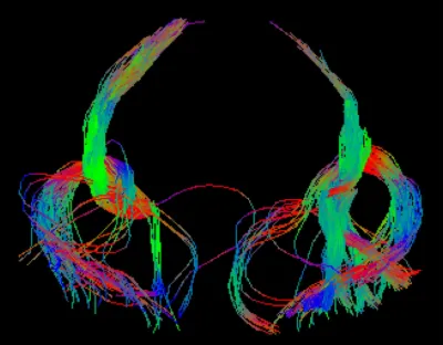 image contest winner for 2025 symposium