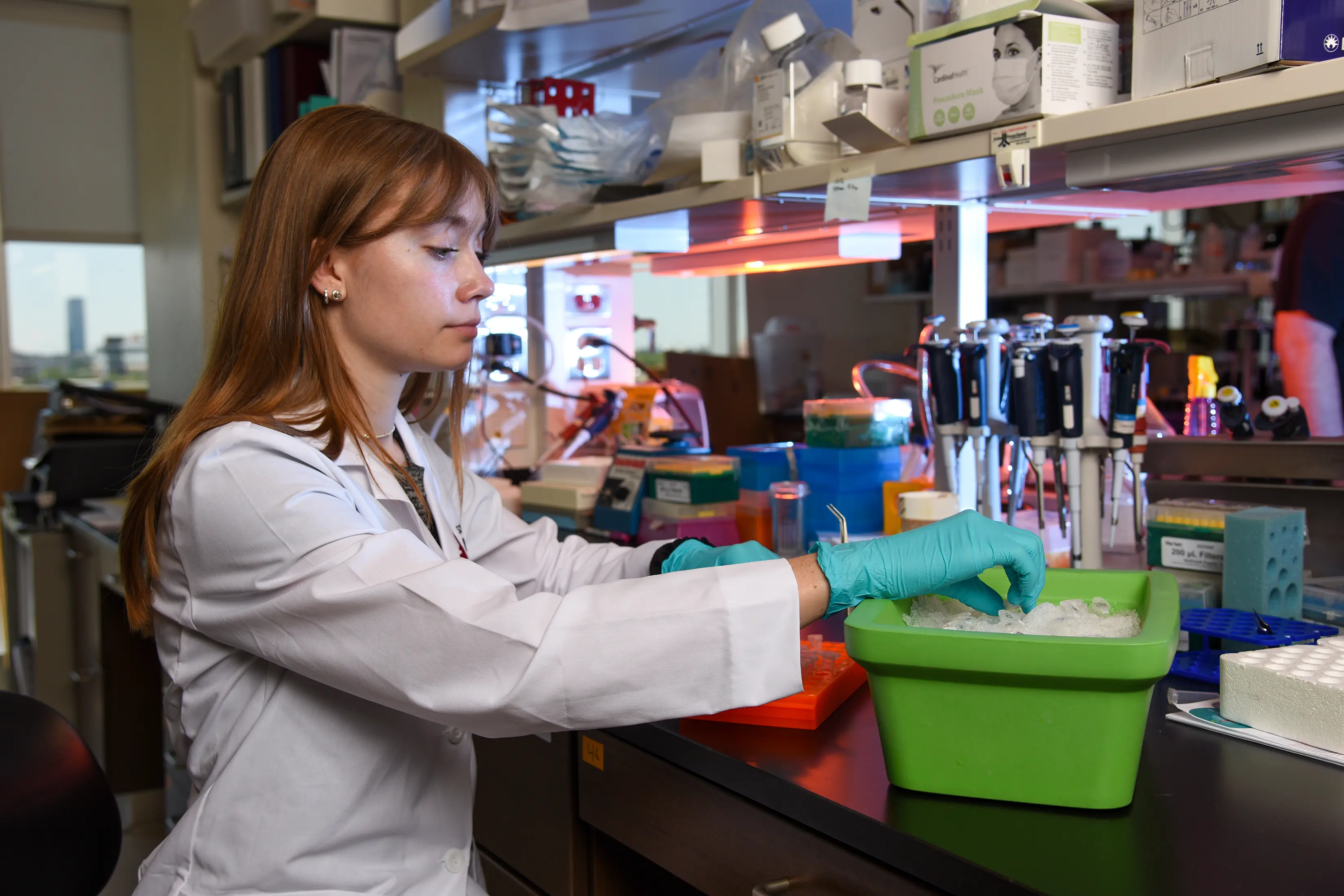 a graduate student works at a lab bench