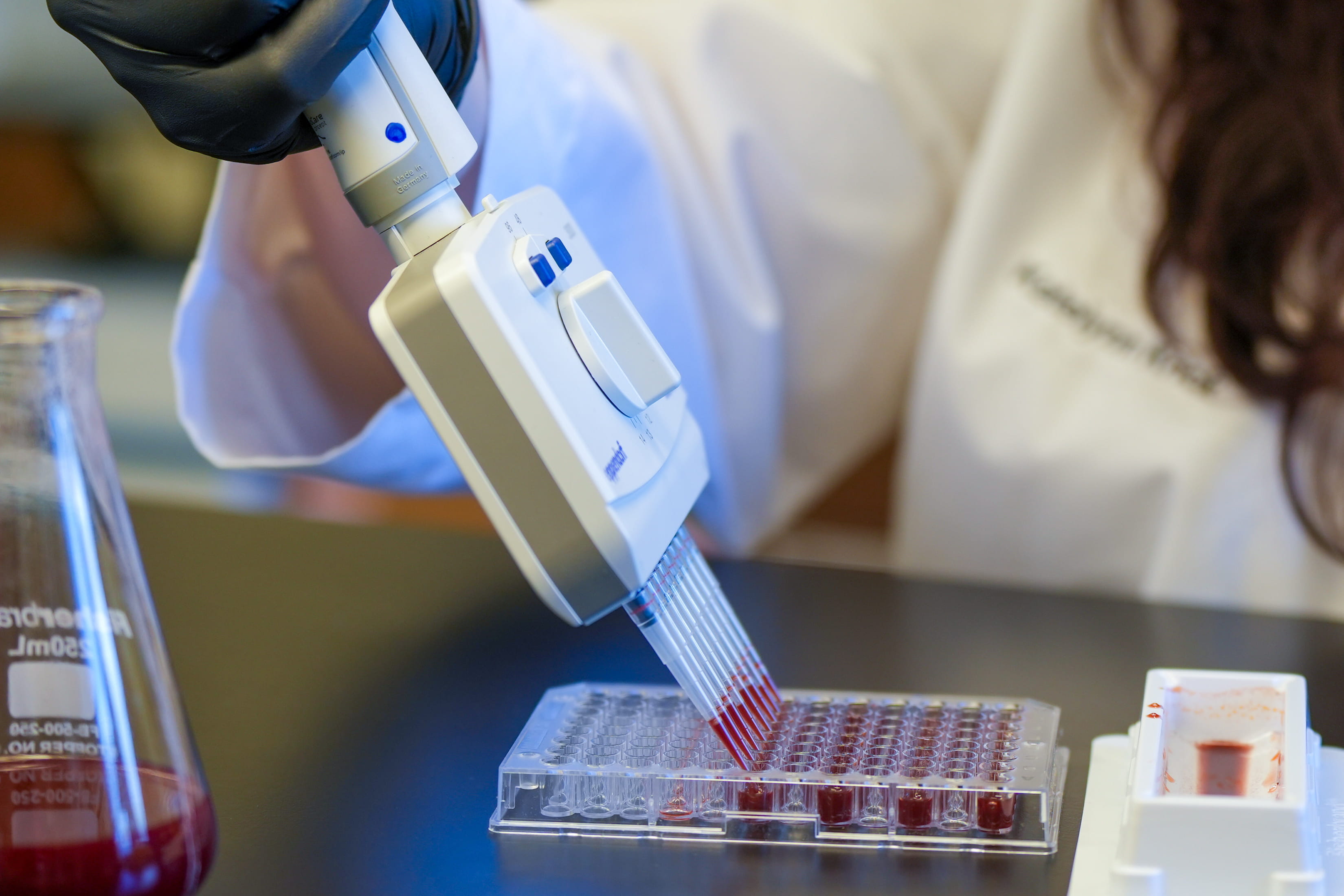 a researcher works in the lab