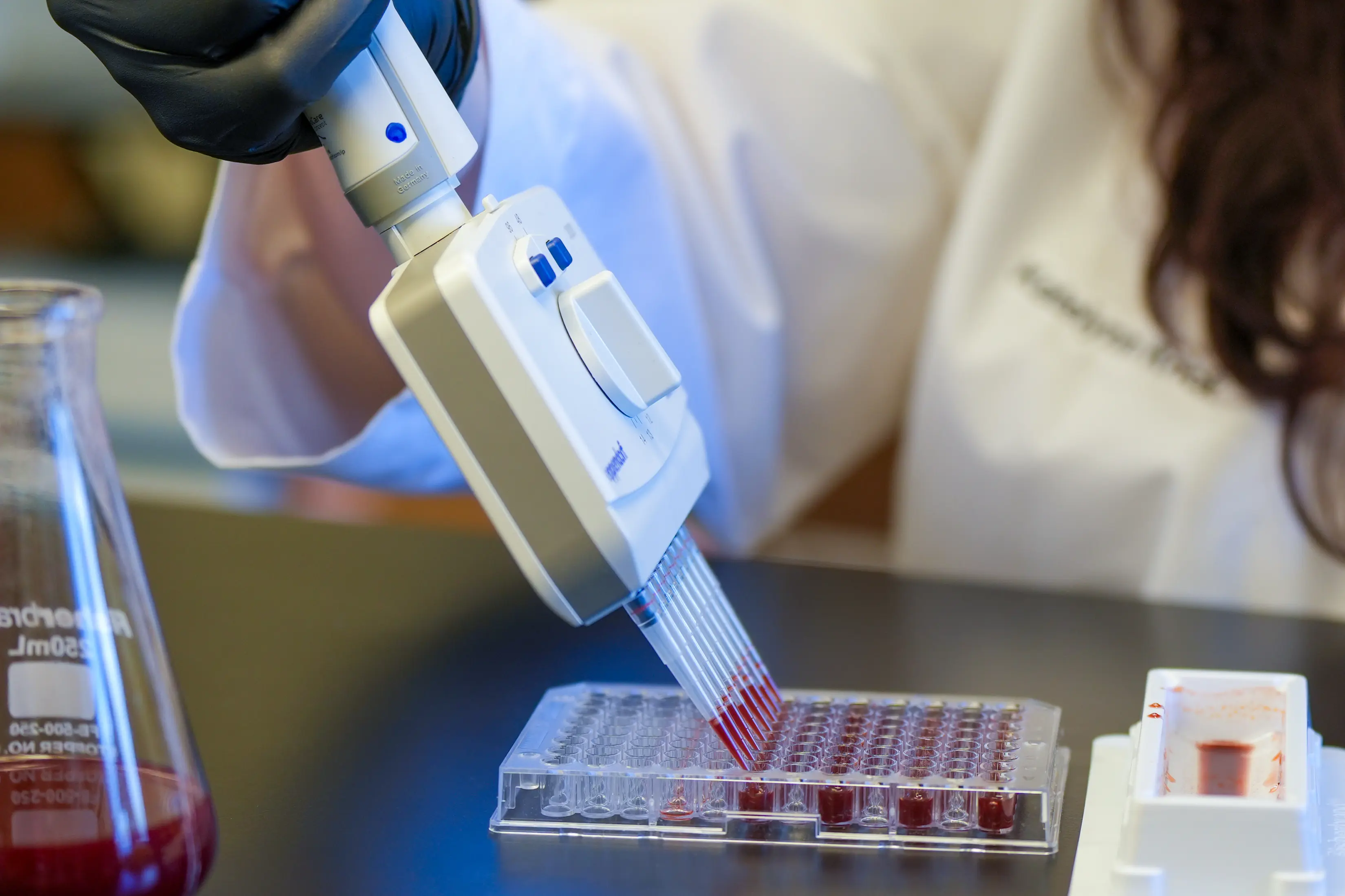 a researcher works in the lab