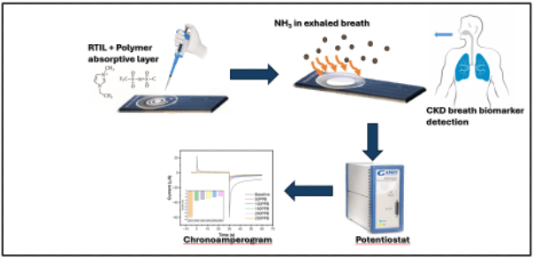 Schematic from the abstract, "Developing an Electrochemical Sensing Platform for the Detection of Ammonia as a Surrogate for Chronic Kidney Disease Screening" depicting the sensing strategy used for the development of the sensor.