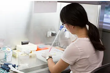 Researcher working with samples at a hood in a laboratory